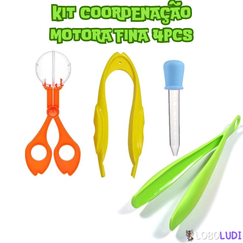 Kit Coordenação Motora Fina LoboLudi 4 Peças